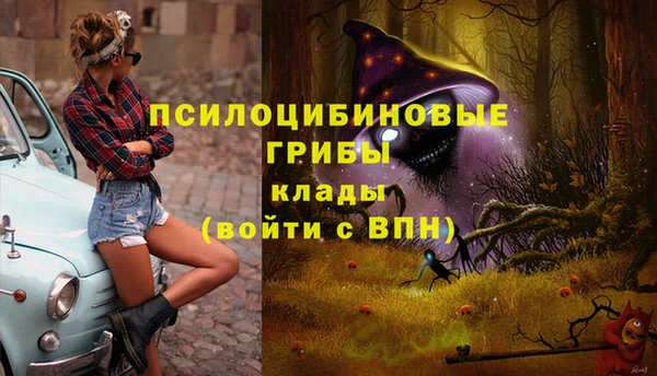 мяу мяу мука Алексин