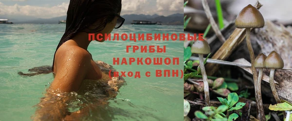 мяу мяу мука Алексин