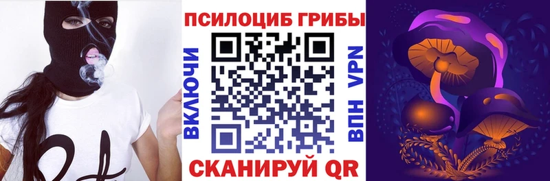 Псилоцибиновые грибы Psilocybine cubensis  как найти закладки  Серов 